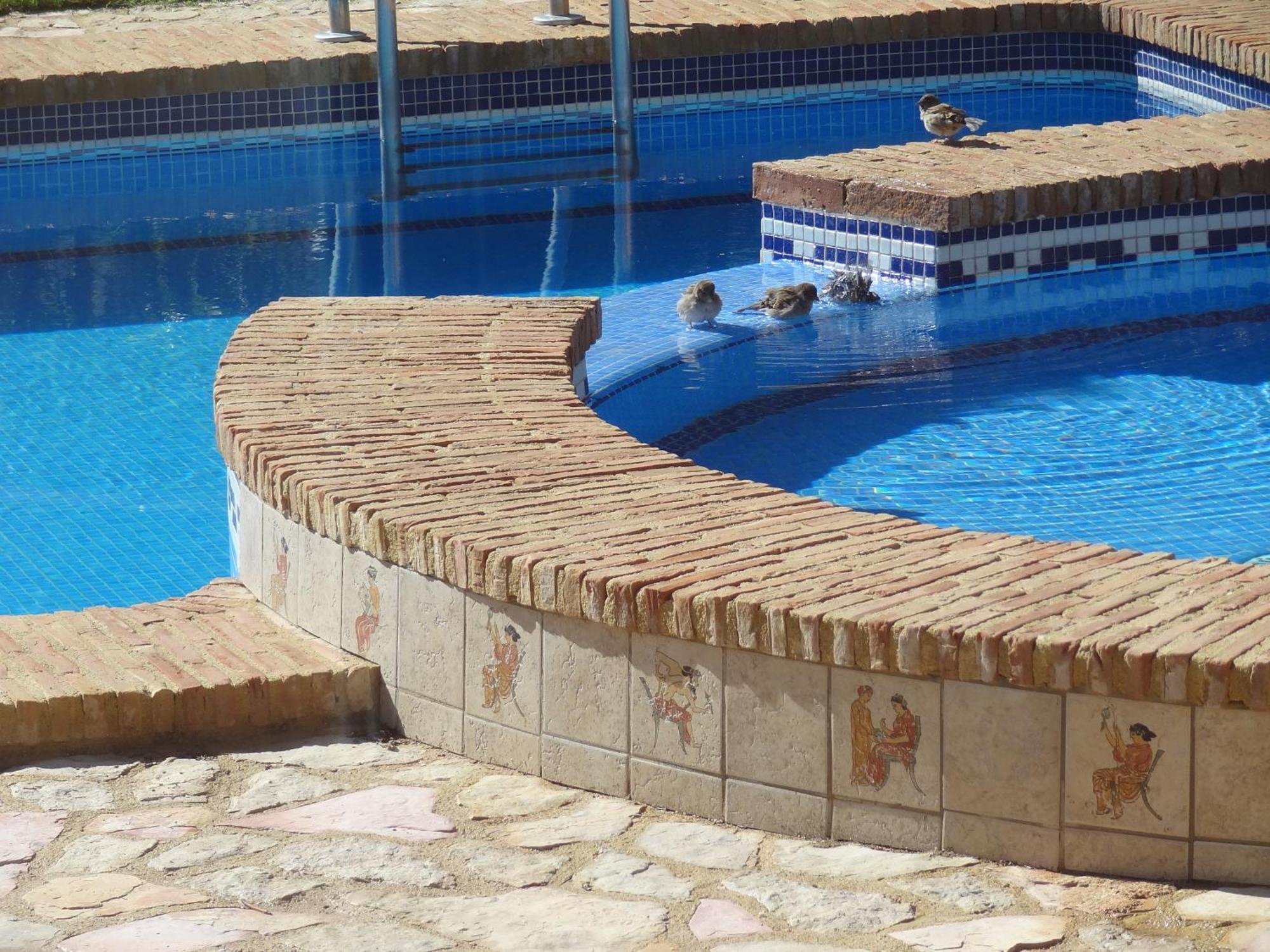 Villa Clairol Los Gallardos Kültér fotó